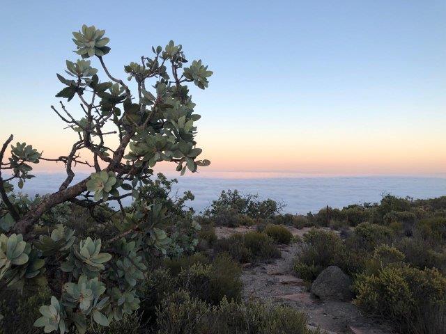 0 Bedroom Property for Sale in Nieuwoudtville Northern Cape